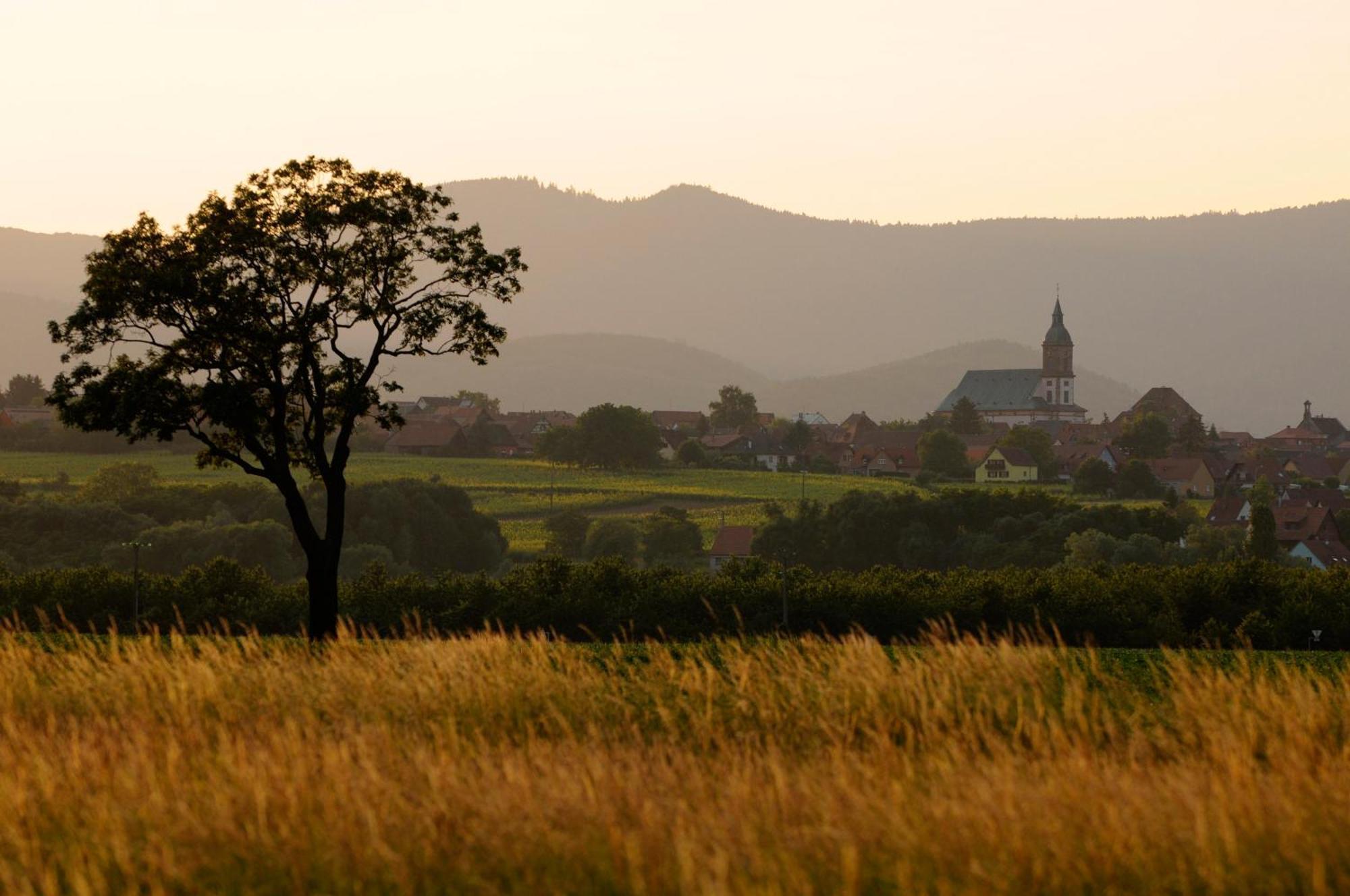 Gite Elouann Familial Spacieux Calme Ebersheim Exteriör bild